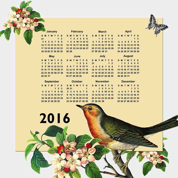 calendar-2016-875237_960_720