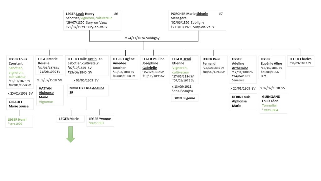 Arbre recensment